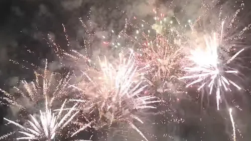 Fête de la mirabelle : le programme d’un samedi d’exception à Metz