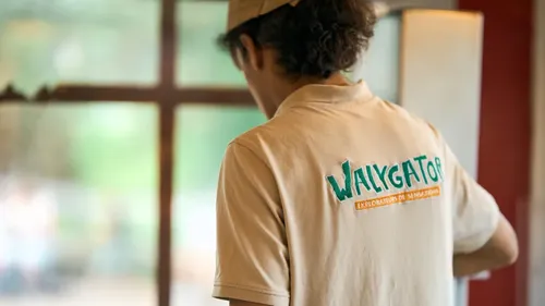 L’invité du jour : on vous dit tout sur le Job Dating à Walygator