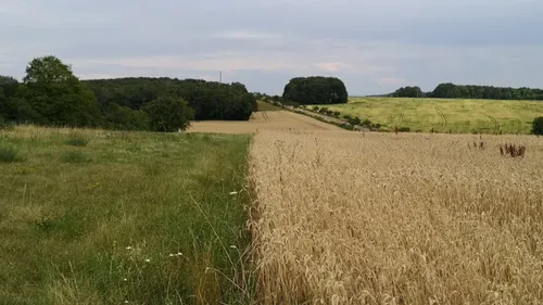 Moselle : le département placé en vigilance sécheresse