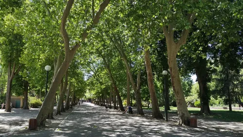 Nancy : Pourquoi le parc de la Pépinière sera fermé ce mardi et ce...