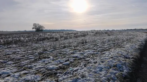 Météo : la neige est arrivée dans les Vosges