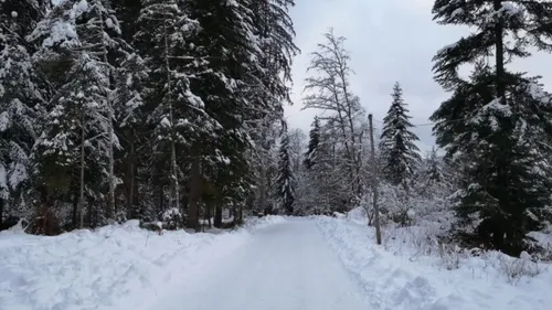 Vosges : les premiers skieurs sont déjà là !