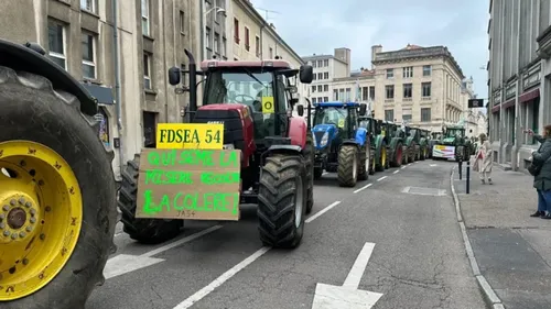 Manif des agriculteurs : plusieurs opérations escargot attendues en...