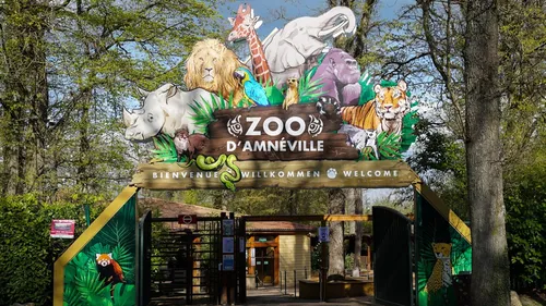 Zoo d’Amnéville : une nouvelle arrivée de taille