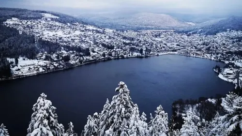 Lorraine : Pourquoi parle-t-on d’une star mondiale dans les Vosges ?