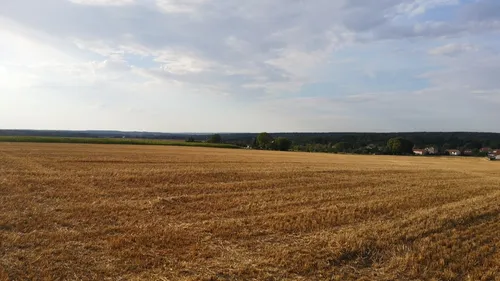 Météo : trois départements lorrains placés en vigilance jaune canicule