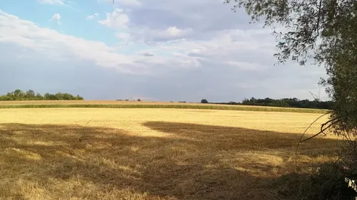 Météo : deux départements lorrains placés en vigilance rouge pour...