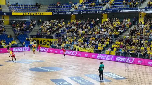 LFH : Le Metz Handball écrase l'OGC Nice (41 - 19)