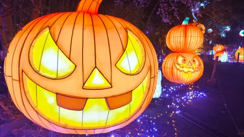 Bêtes & Sorcières : un festival pour découvrir une Moselle «...