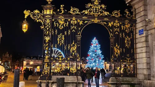 Nancy : On sait quand va arriver le sapin de la Place Stanislas