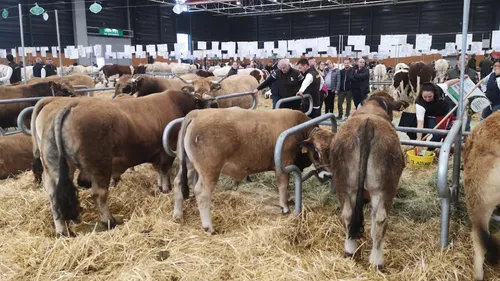 Agrimax : Le monde de l’agriculture débarque à Metz