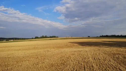 Vague de chaleur en lorraine : jusqu’à 37° en prévision pour la fin...