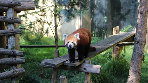 Le Zoo d’Amnéville fait son retour dans l’EAZA