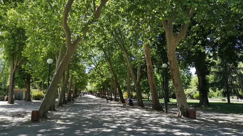 Nancy : la rencontre « Pépinière en vert » c’est ce week-end 