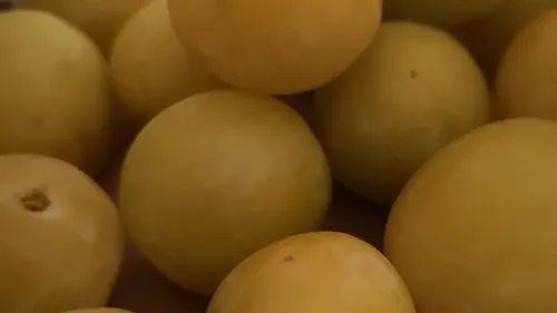 Fêtons à nouveau la Mirabelle à Metz !