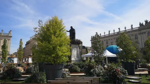 (Photos) : Le Jardin éphémère de Nancy, ça commence ce vendredi