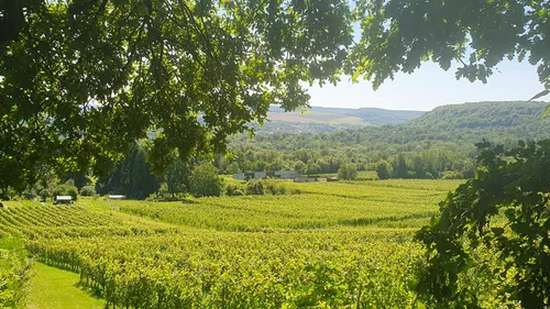 L’invité du jour : on vous dit tout sur le domaine « Les Béliers »...