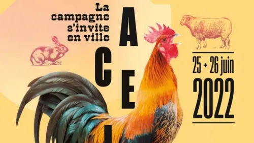 Metz. La campagne s’invite en ville avec Macellum !