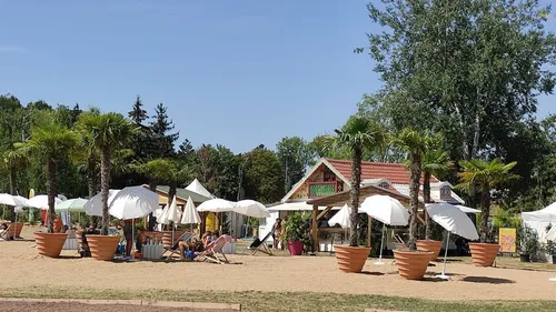 Découvrez la date de la grande vente des plantes de Metz Plage ! 