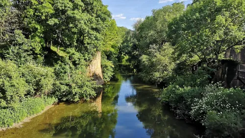 Metz : 5e au palmarès des villes vertes