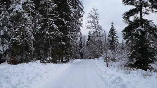 Météo : Les Vosges sous la neige pour ce début de semaine