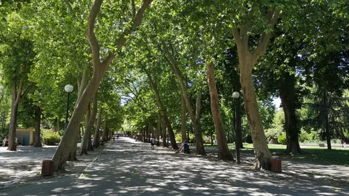 Météo en Lorraine : Nancy anticipe la fermeture de ses parcs