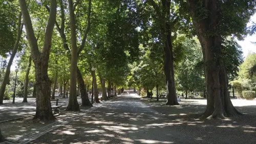 Tempête Floriane : Nancy ferme ses parcs et cimetières