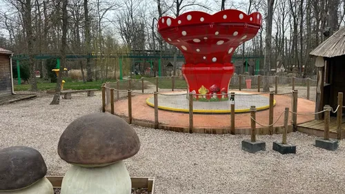 Pokeyland : les projets à venir en 2024