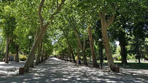 Nancy : Le marché des potiers fait son retour !