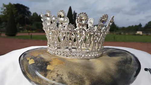 Reine de la Mirabelle : les inscriptions sont ouvertes !