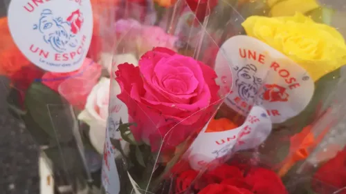 L'invité du jour : on vous dit sur "une Rose un Espoir" 