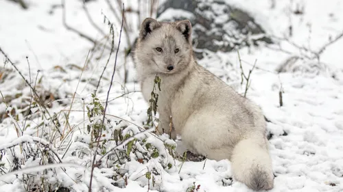 Idée de sortie : Sainte-Croix OUVRE EXCEPTIONNELLEMENT SES PORTES...