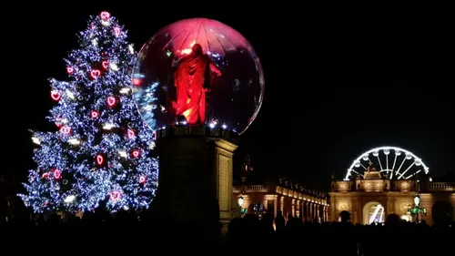 Nancy : dernier acte pour le sapin de la place Stanislas