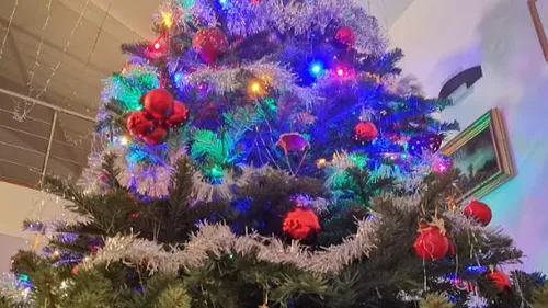 Metz : Que faire de son sapin de Noël après les fêtes ?