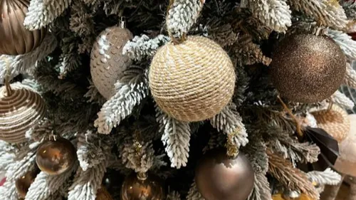 Nancy : où déposer son sapin après les fêtes ? 