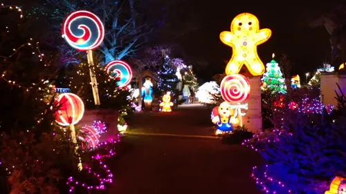 Sentier des lanternes à Metz : ce qu’il faut savoir sur cette...