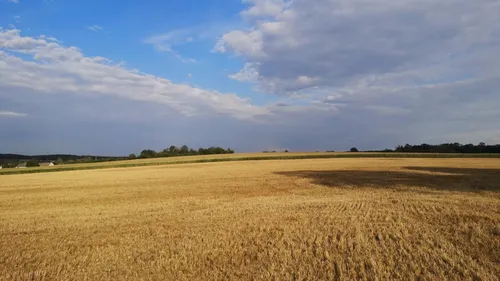 La Meurthe-et-Moselle passe en vigilance sécheresse