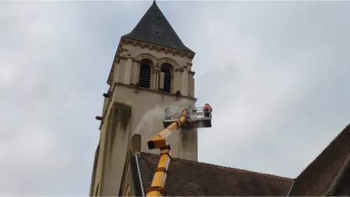 Metz Queuleu : Naissance de faucons pèlerins
