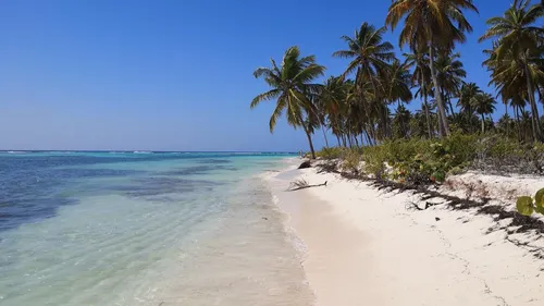Coupe de France : un club lorrain ira jouer en Nouvelle-Calédonie