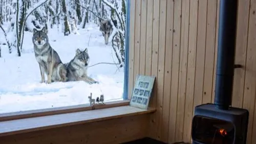 Le parc animalier de Sainte-Croix n’hiberne pas pendant l’hiver
