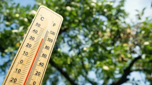  Metz : un plan canicule lancé ce mercredi