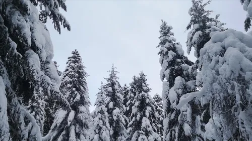 Offres d’emploi en lorraine : la station de ski La Bresse-Hohneck...