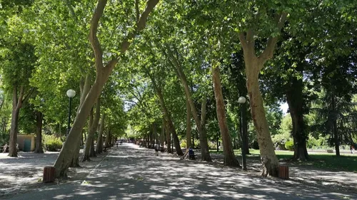 Vigilance orange aux orages : Nancy ferme ses parcs dés cet après-midi
