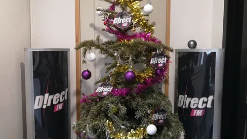 Les solutions pour valoriser son sapin de Noël après les fêtes dans...