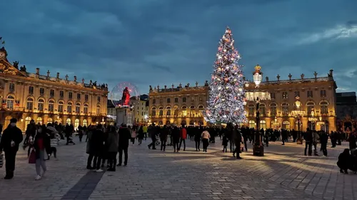 Fête de la Saint-Nicolas : le sapin est arrivé sur la place Stanislas