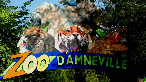 Lorraine : naissance d’un bébé orang-outan au zoo d’Amnéville