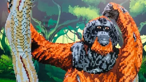 Venez créer, jouer, découvrir au Brick Live à Toulouse !