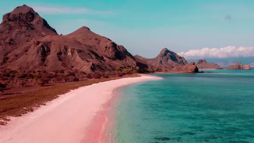 Engloutie par les eaux, Toulouse devient l'île rose