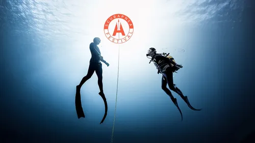 Le premier festival dédié à la plongée sous marine à Toulouse ! 