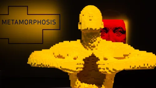 Une super expo à découvrir tout l'été à Toulouse